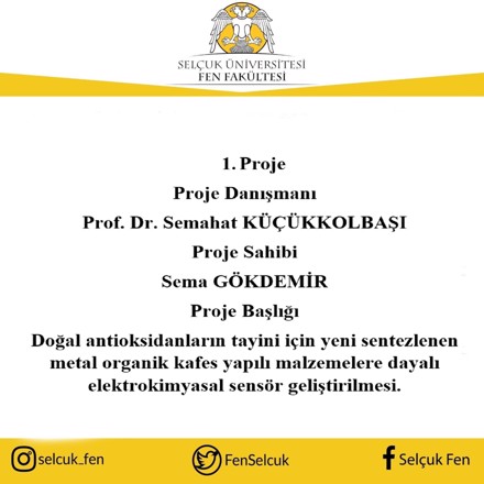 2209-A Üniversite Öğrencileri Araştırma Projeleri Destekleme Programı